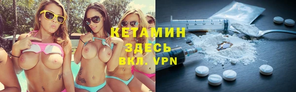 шишки Сураж