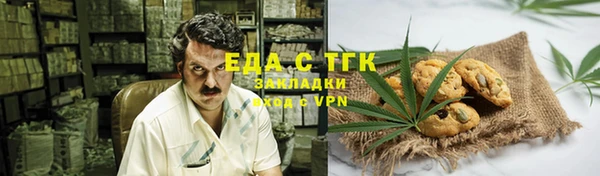 гашик Инта