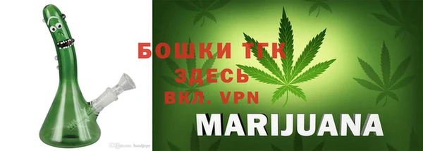 мдпв Козельск