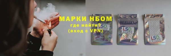 мдпв Козельск