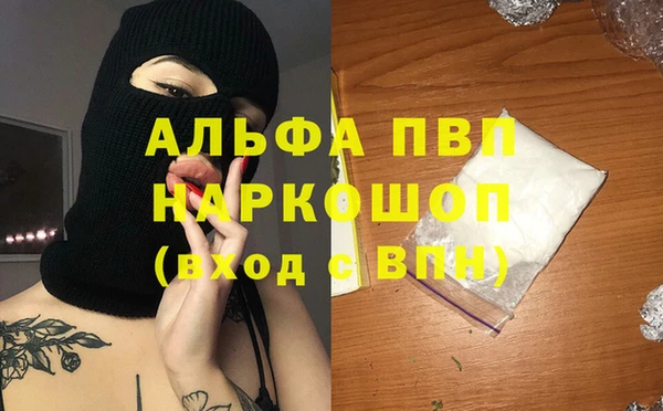 гашик Инта
