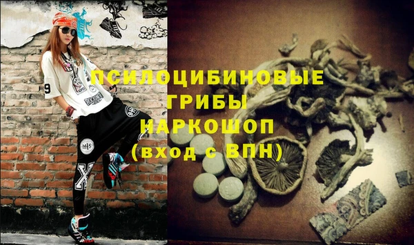 a pvp Кодинск