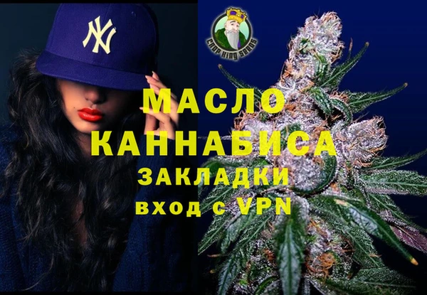 гашик Инта