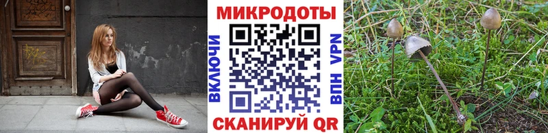 blacksprut ссылки  Кораблино  Галлюциногенные грибы прущие грибы  где найти  